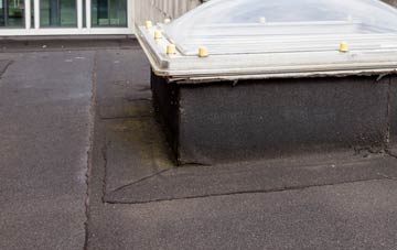 disadvantages of Treales flat roofs