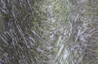 Treales fibreglass roof work