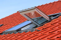Treales roof window